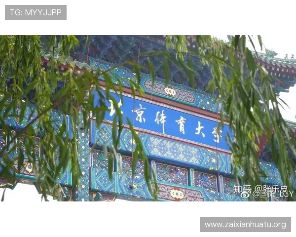 B体育中文站的特色功能介绍，让你轻松享受高质量的体育内容和互动体验