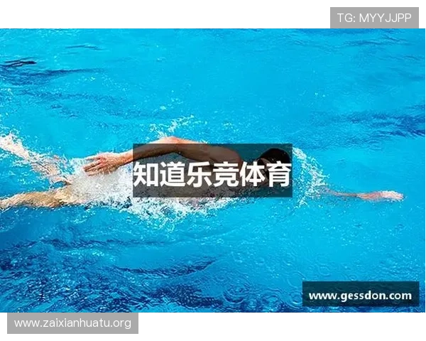 乐竞体育app官网登录入口详细流程解析让你轻松畅享体育赛事体验